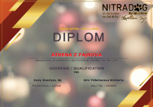 diplom2